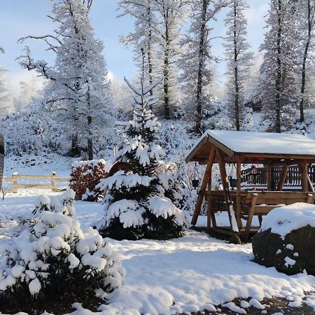 Ma Roulotte Sous Les Chenes- Au Naturel Raon-aux-Bois Екстериор снимка