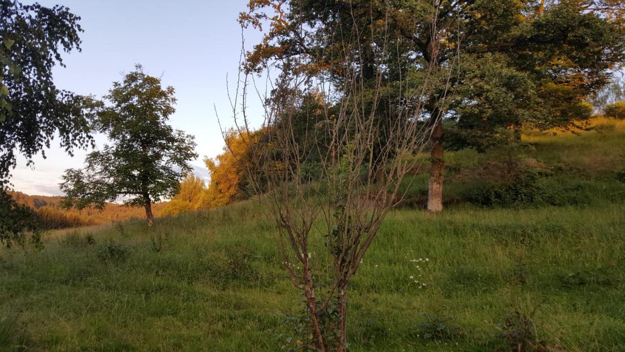 Ma Roulotte Sous Les Chenes- Au Naturel Raon-aux-Bois Екстериор снимка
